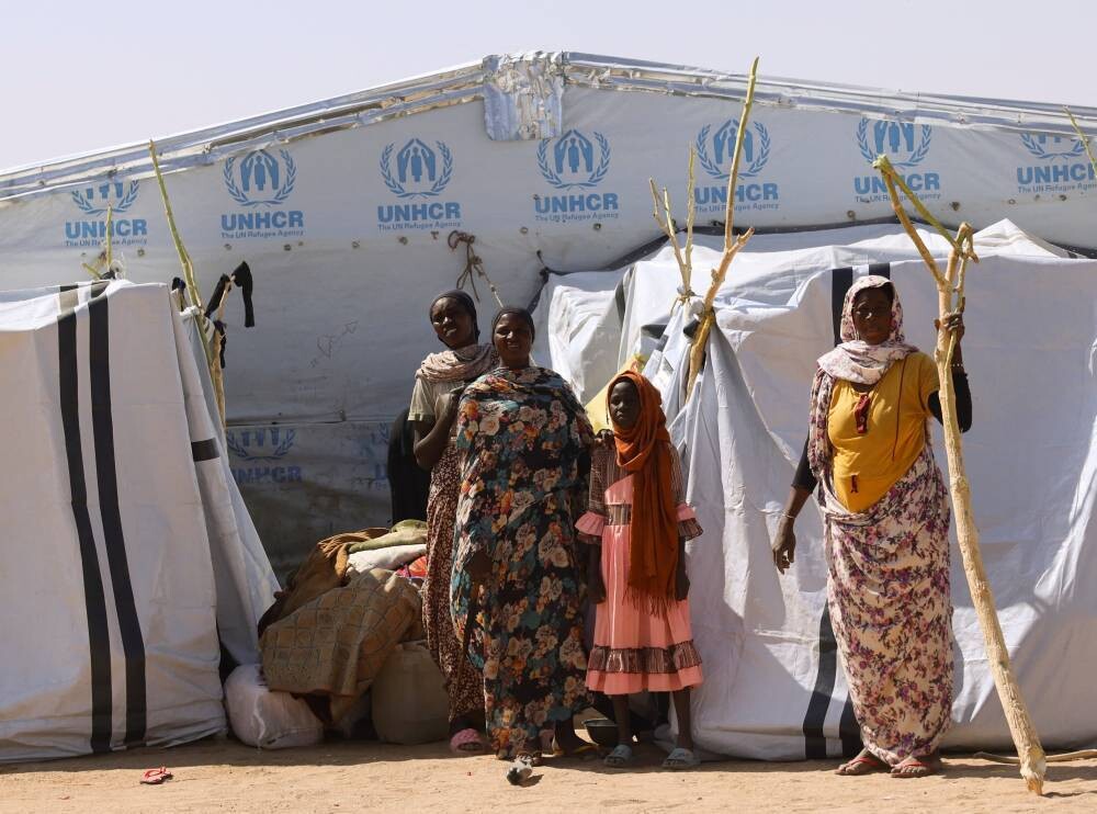 Sudan's Assistant FM Welcomes European Parliament Decision